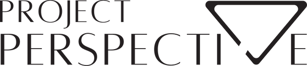 PROJECT PERSPECTIVE